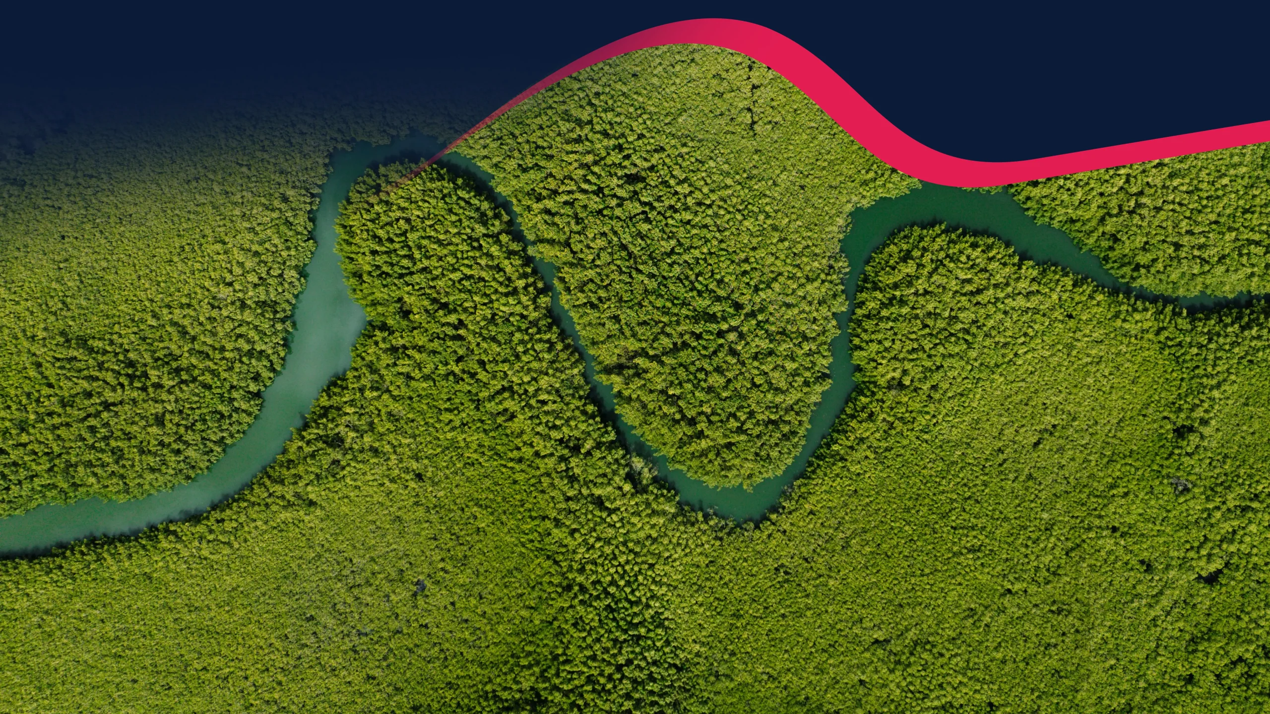 JCE South America About us Forestry-optimized JCE South America About us Forestry-optimized