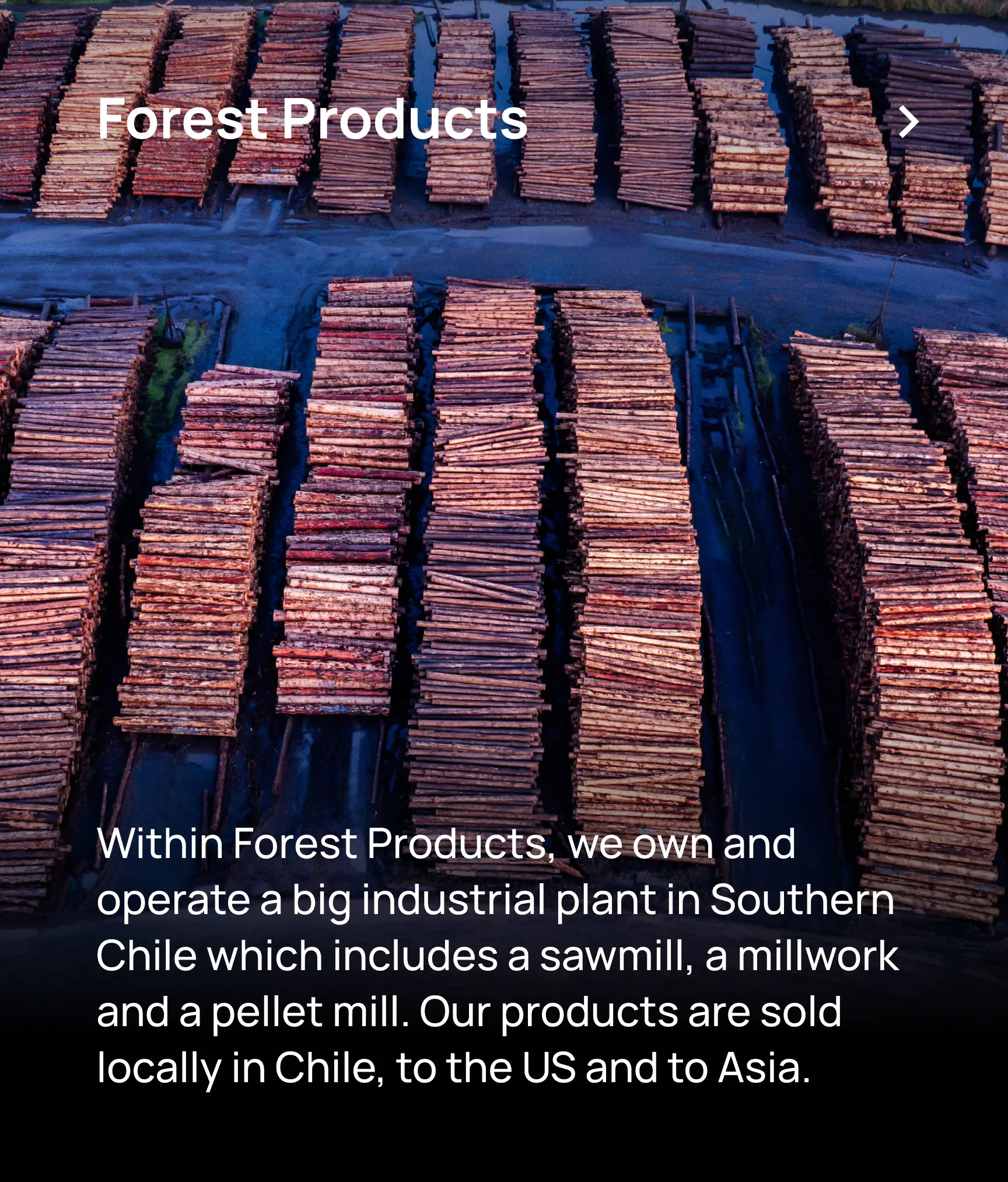 JCE South America English Forest Products