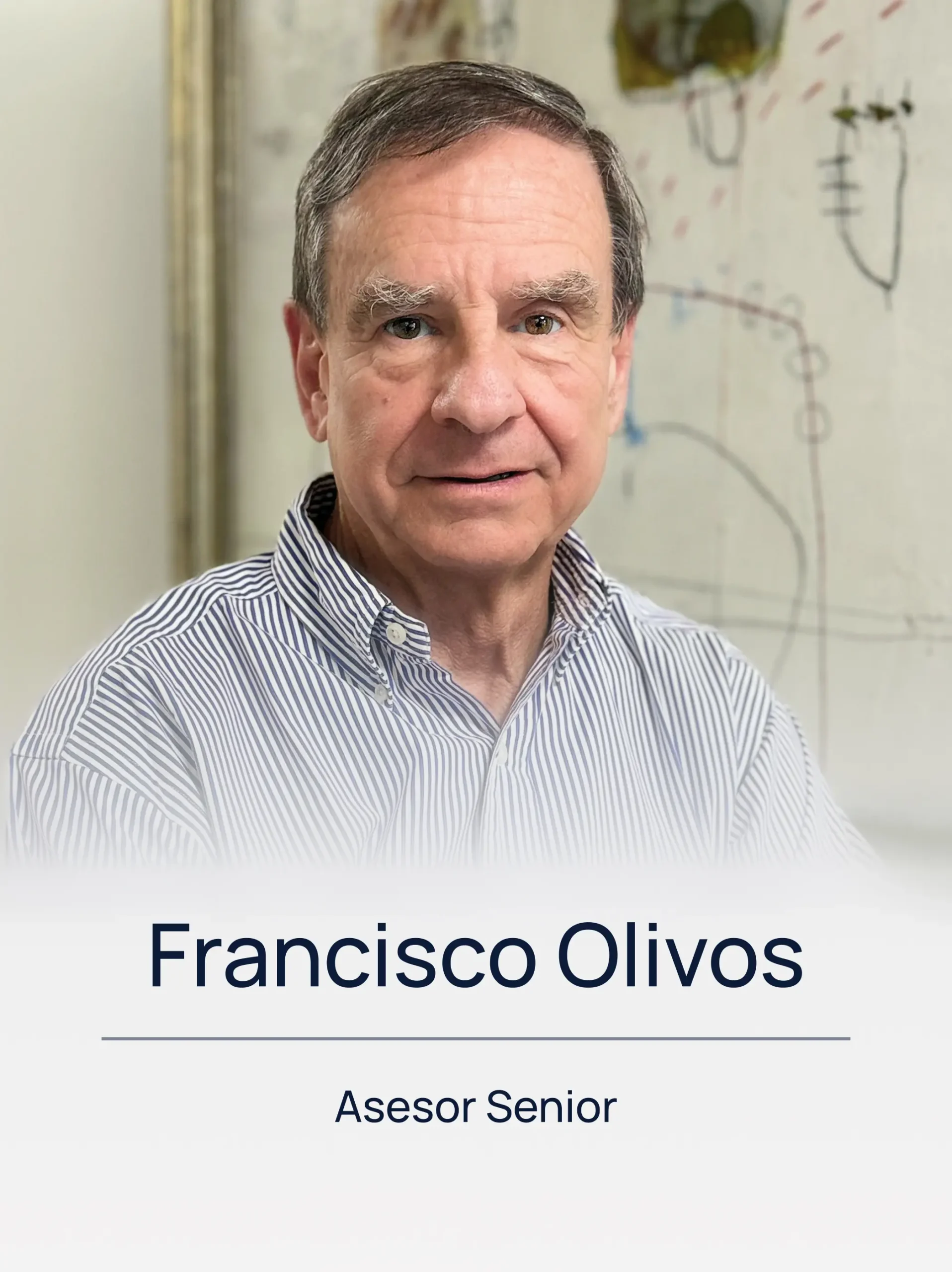 JCE South America Francisco Olivos Asesor Senior JCE South America Francisco Olivos Asesor Senior