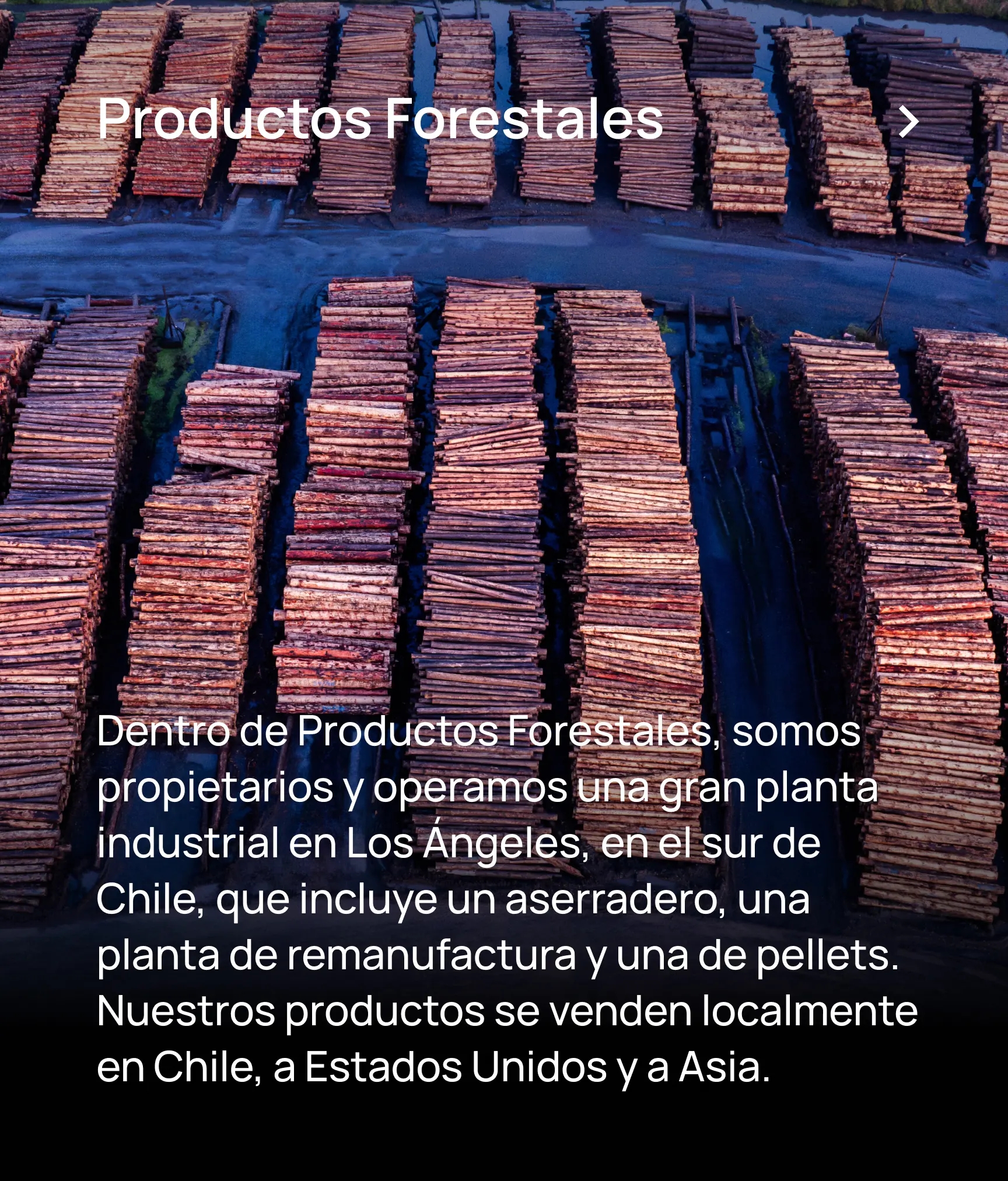 JCE South America Productos Forestales