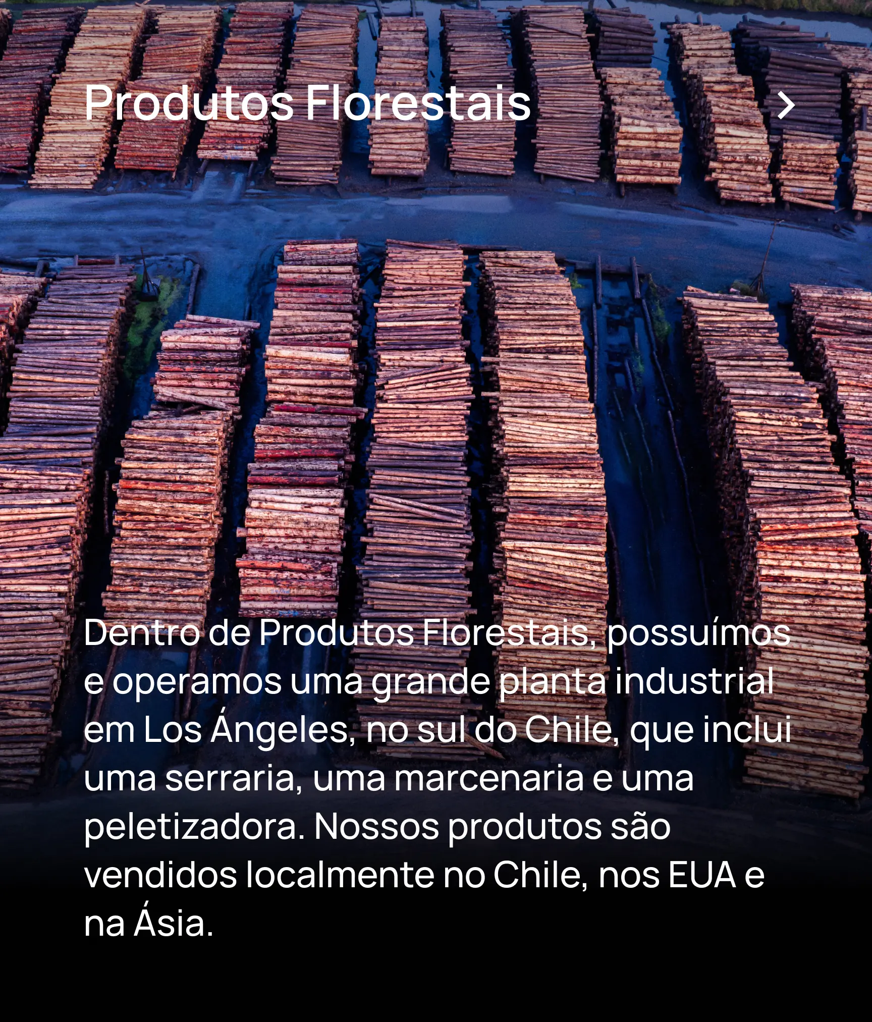 JCE South America Produtos Florestais