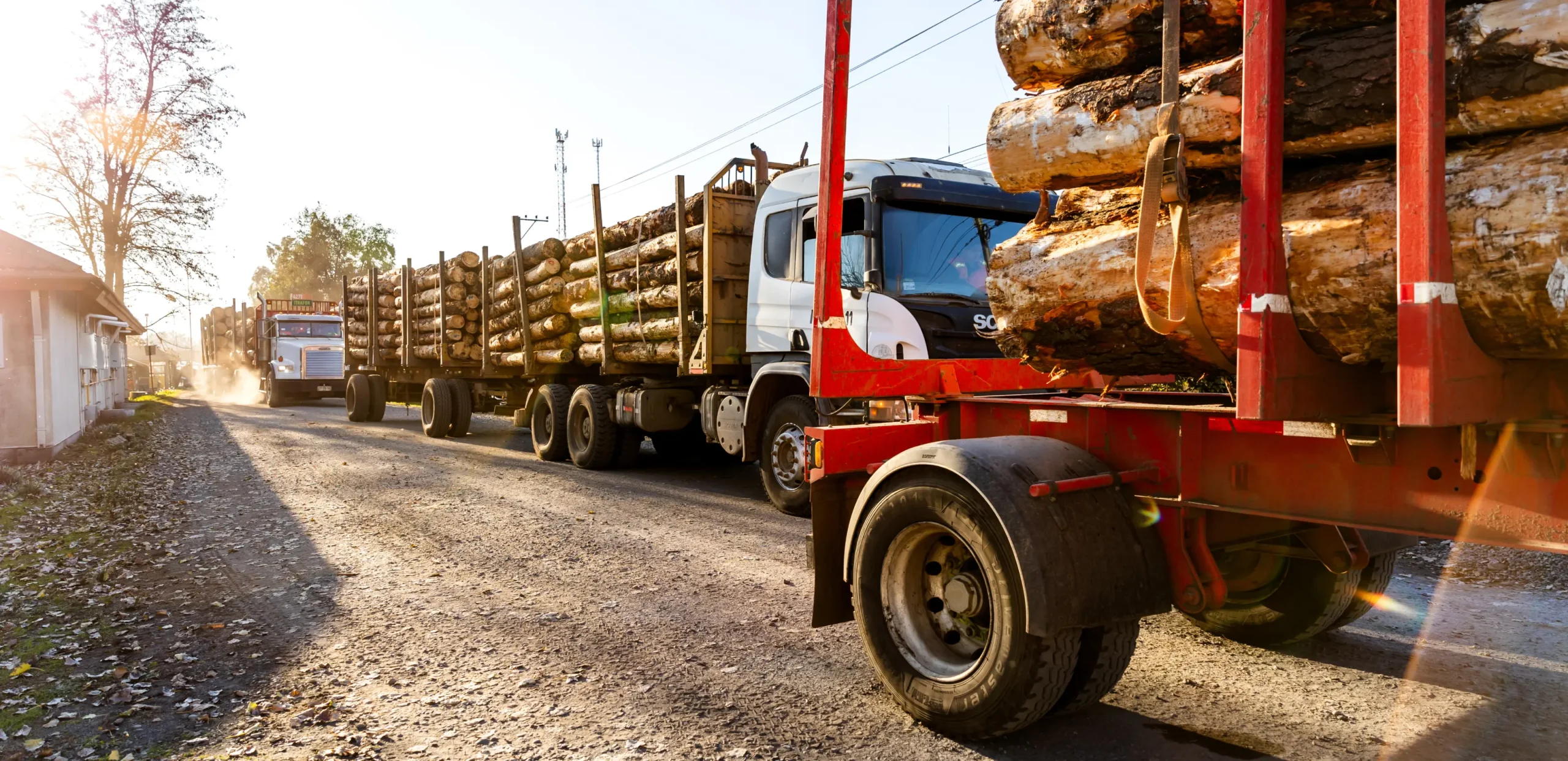 JCE South America Business Area Truck with logs JCE South America Business Area Truck with logs